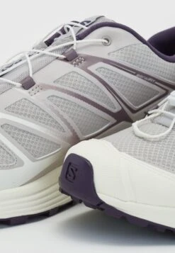 Salomon Xt-Pathway Unisex - Sneakers Laag - Ashes Of Roses/Moonscape/Vanilla Ice 13 Salomon Xt-Pathway Unisex - Sneakers Laag - Ashes Of Roses/Moonscape/Vanilla Ice -SchoenenPlezier cfa54523c1ff4395ab07861eb390df91 scaled